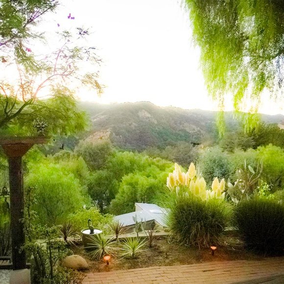 Meet your Posher Julie  curator for Hayden Haven - Picture 2 of 5